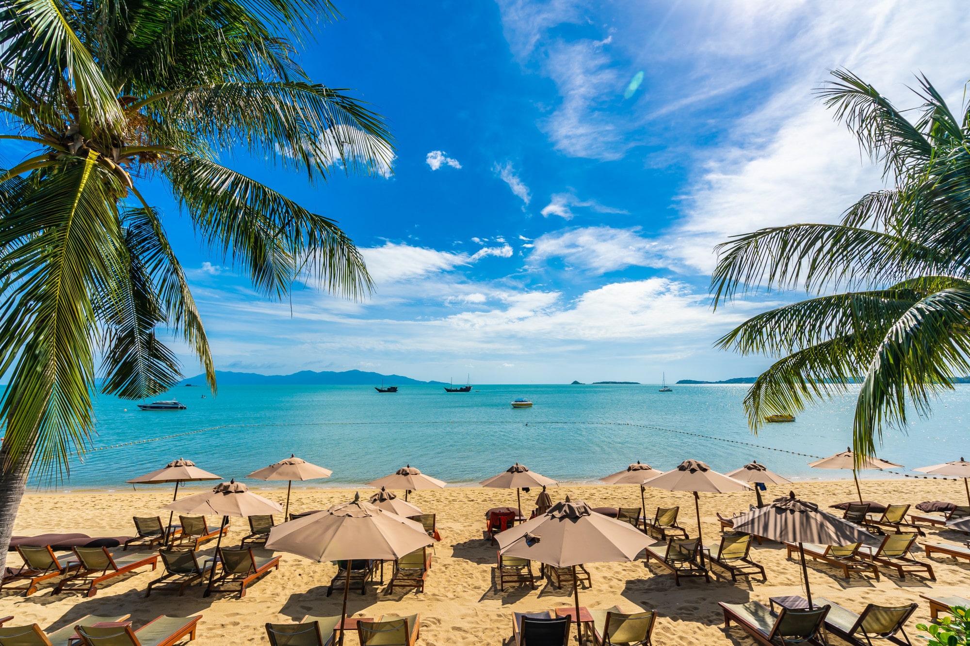 Pataya Tours clicktoguide