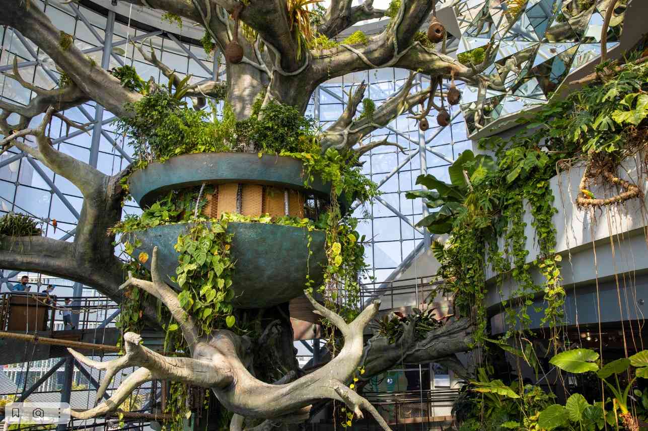 Как добраться до Green Planet Dubai clicktoguide