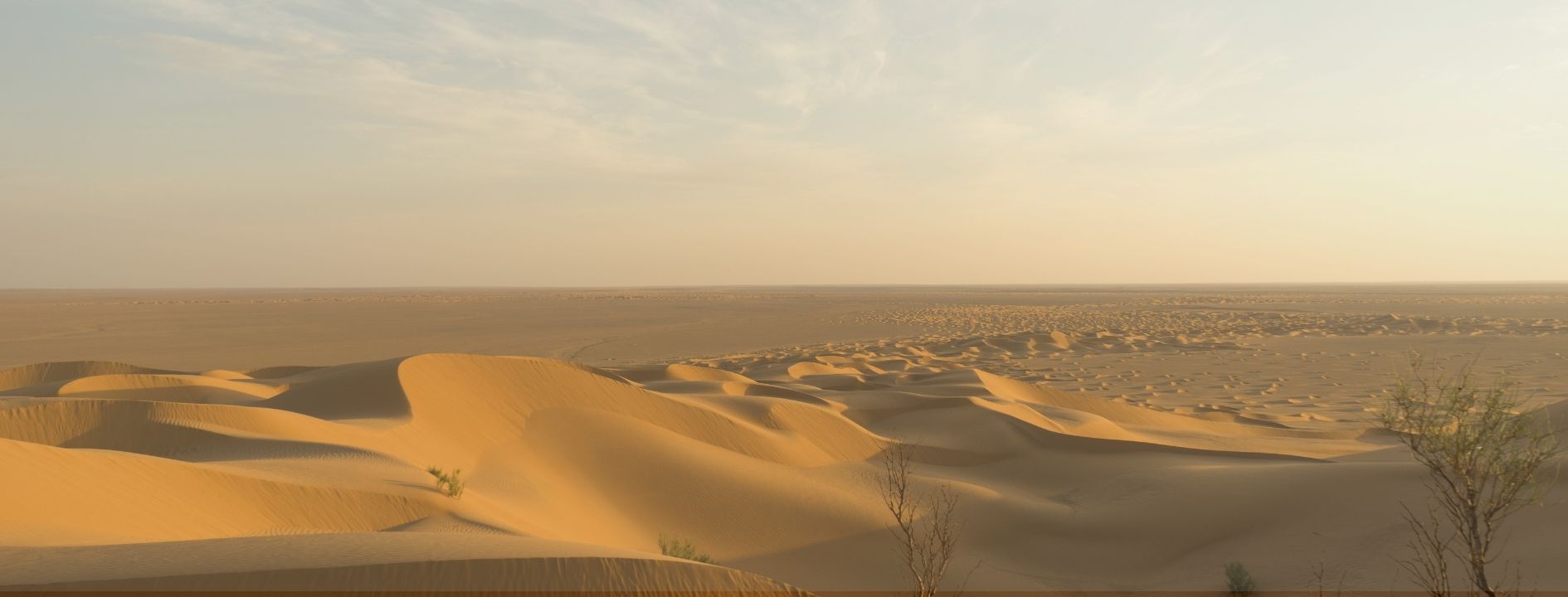 Things to Do in Al Marmoom Desert clicktoguide