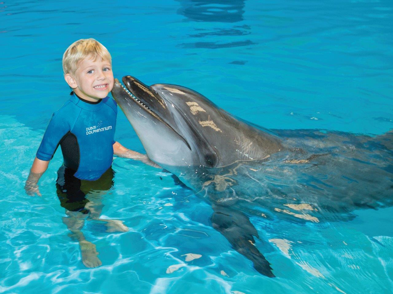 Dolphin Interaction: Shallow water interaction