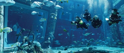 Dive Experience: Dive Lost City