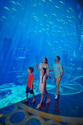 Fish Tales Tour + Lost Chambers Admission - clicktoguide