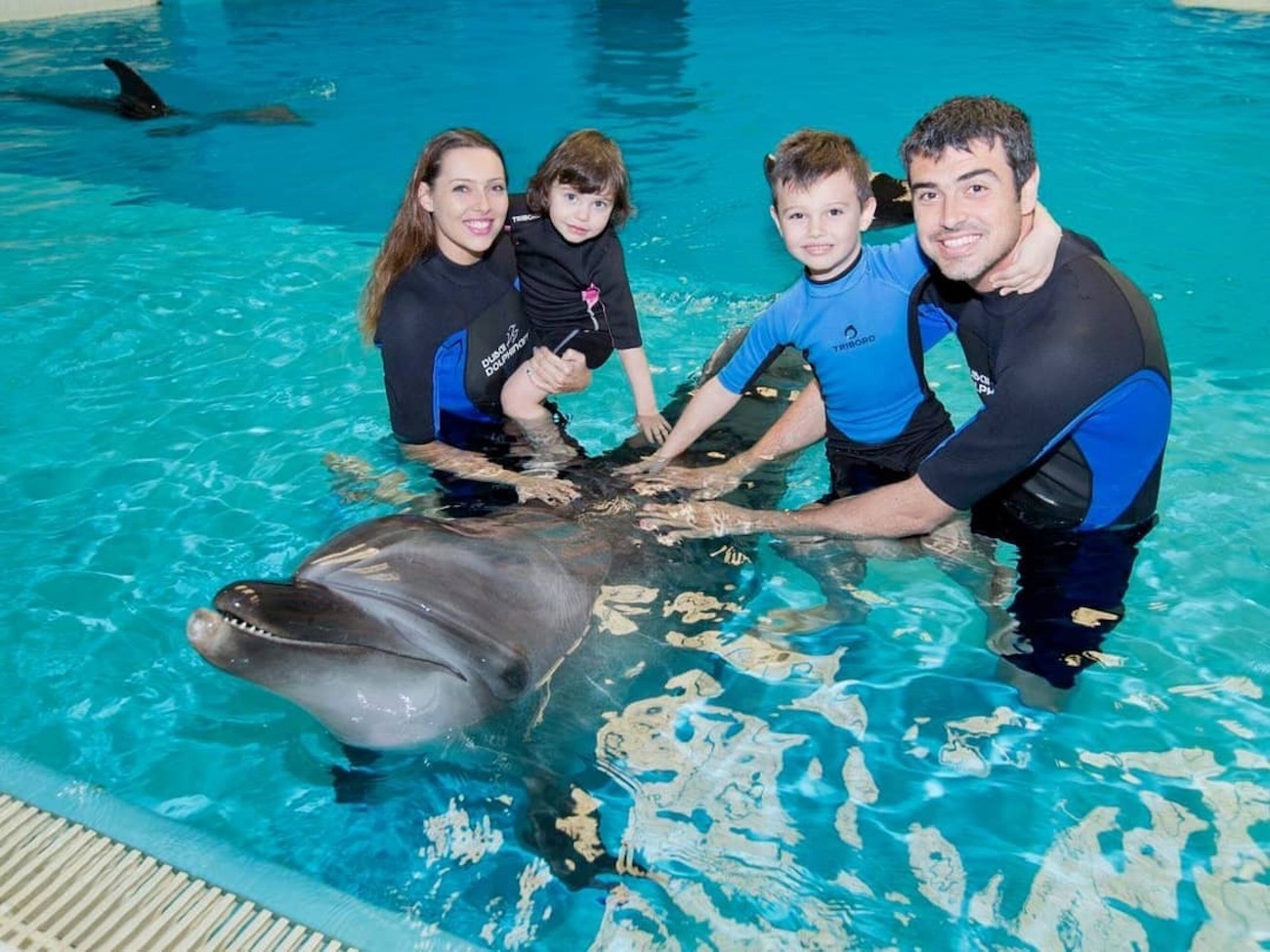 Dubai Dolphinarium - Dolphin Interaction - clicktoguide