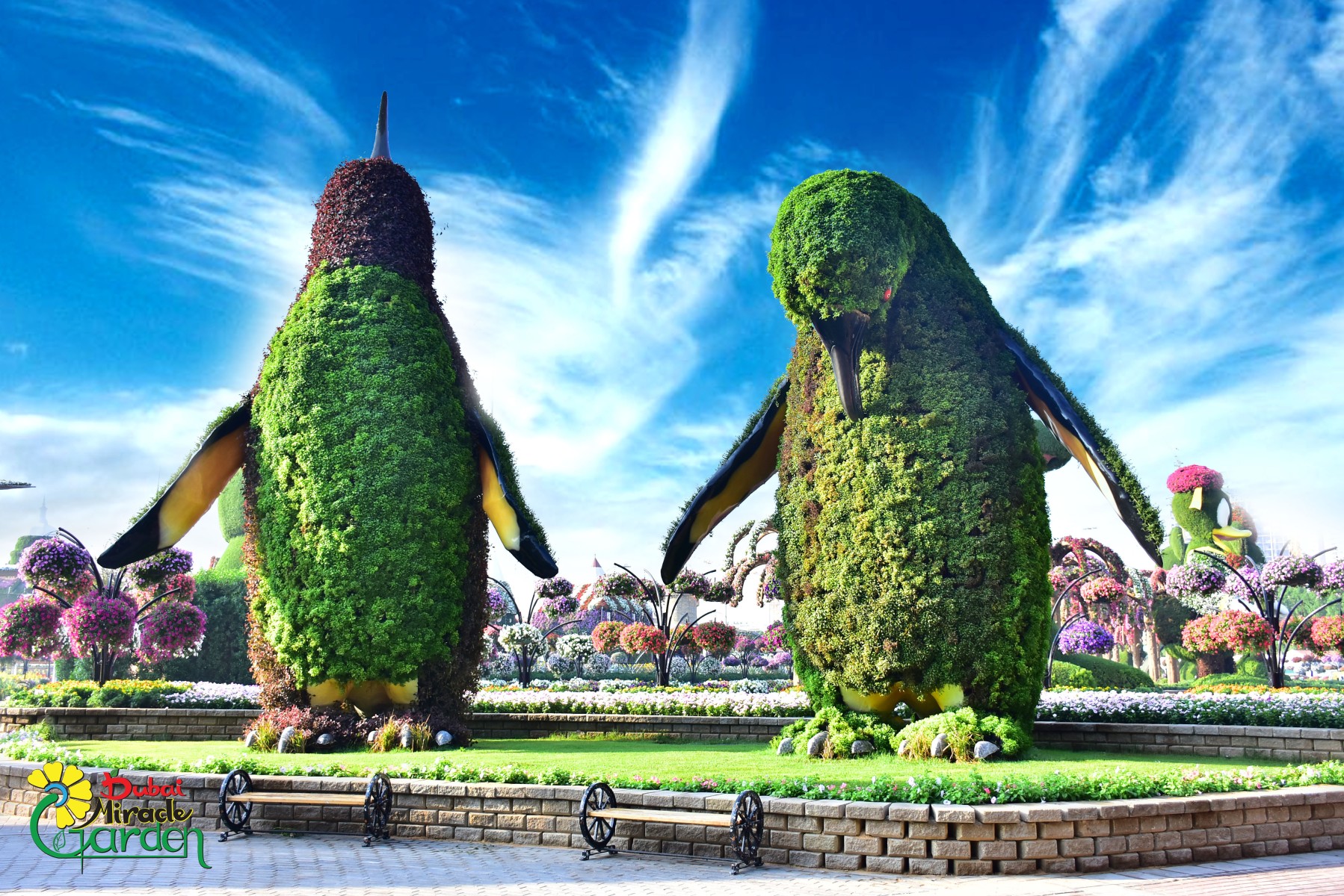 Dubai Miracle Garden: Dolphin Garden