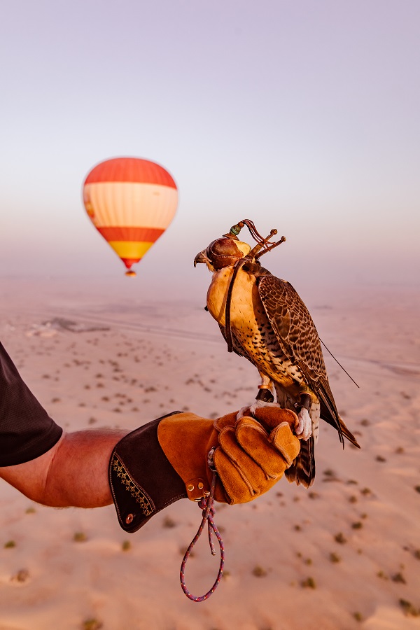 Hot Air Balloon in Dubai - clicktoguide