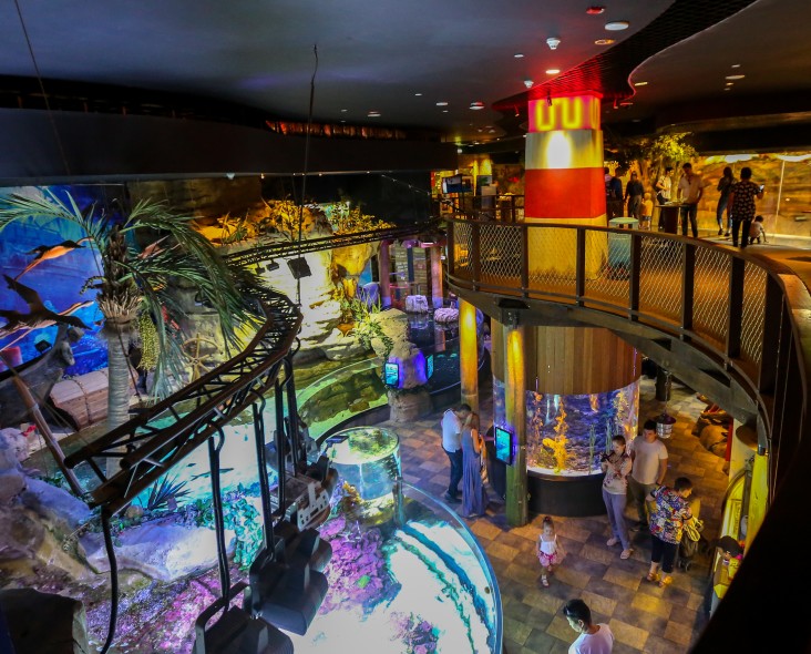 Dubai Mall Aquarium: Underwater Zoo