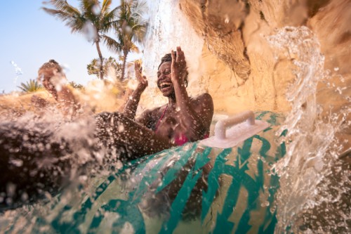 Dolphin Paddle: River Splash