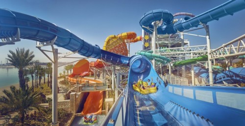 Dolphin Paddle: Fun Slide