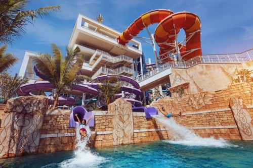 Dolphin Paddle: Kids Rides