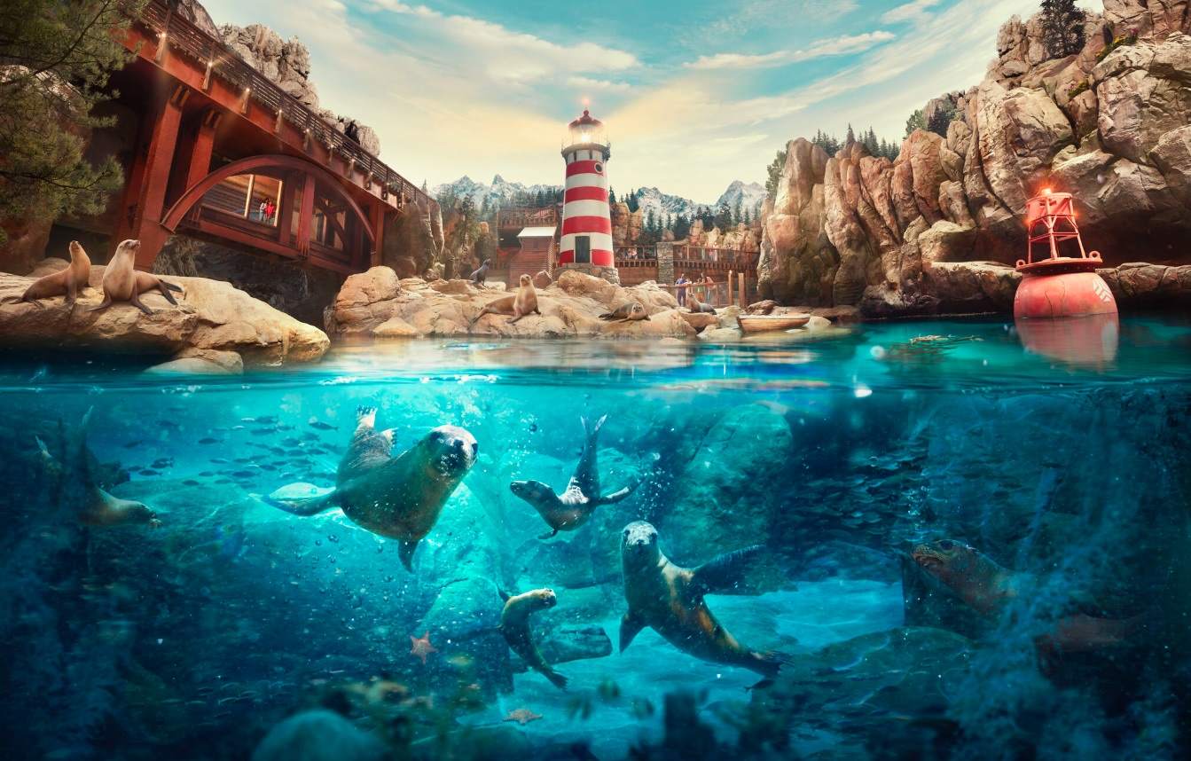 SeaWorld Abu Dhabi: Rocky Point