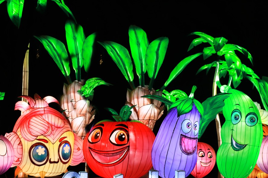 Dubai Garden Glow: Vegetables