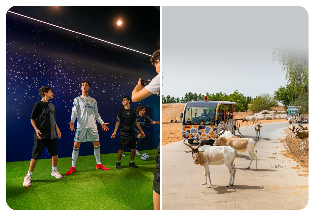 Real Madrid World Park + Dubai Safari Bundle (Safari Park Pass + Train + Explorer Safari Tour) 