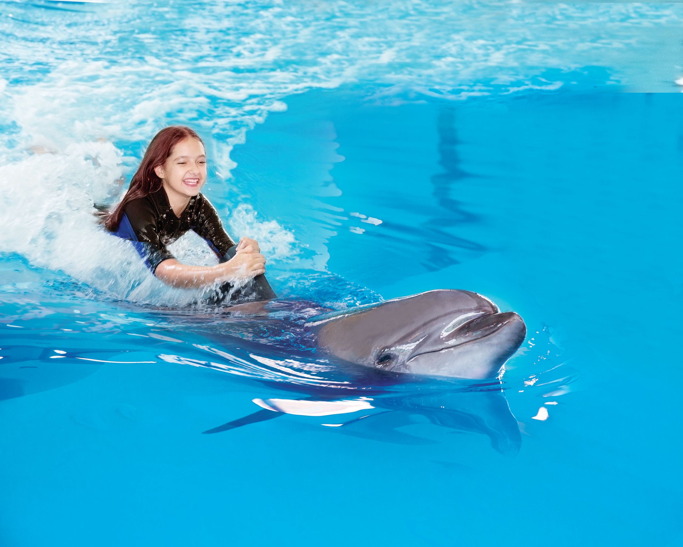 Dolphin Interaction - Private Session: Deep water interaction