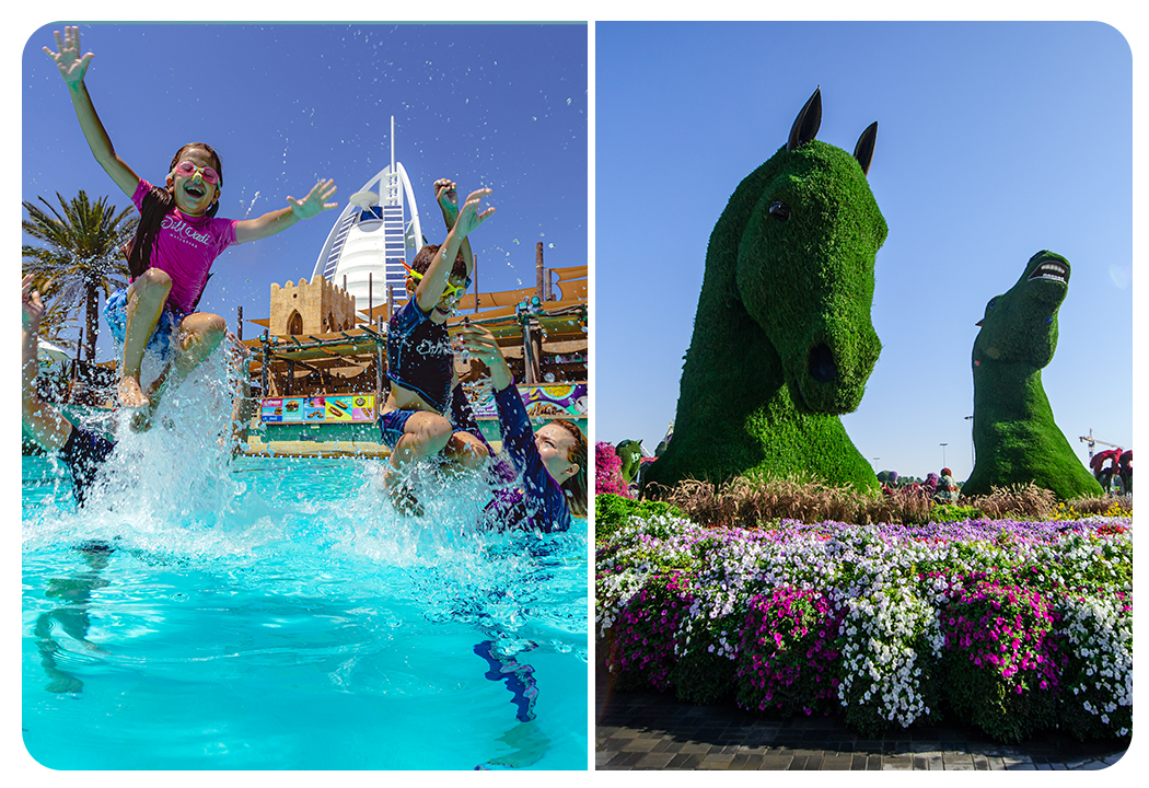 Wild Wadi Waterpark (General Admission) + Dubai Miracle Garden