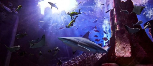 Shark Snorkel: Shark Snorkel
