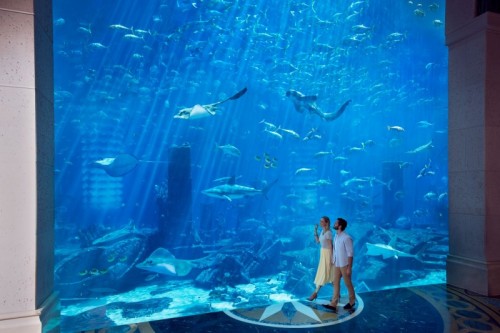 Aqua Trek Xtreme: Lost Chamber Couple