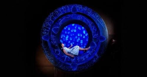 Aqua Trek Xtreme: Girl Jelly Fish