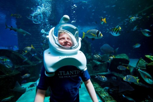 Aqua Trek Xtreme: Boy Experience