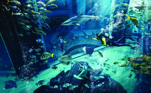 Dive Experience: Atlantis Dive