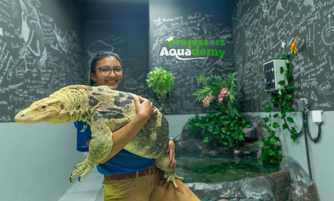 The National Aquarium Abu Dhabi: Super Snake