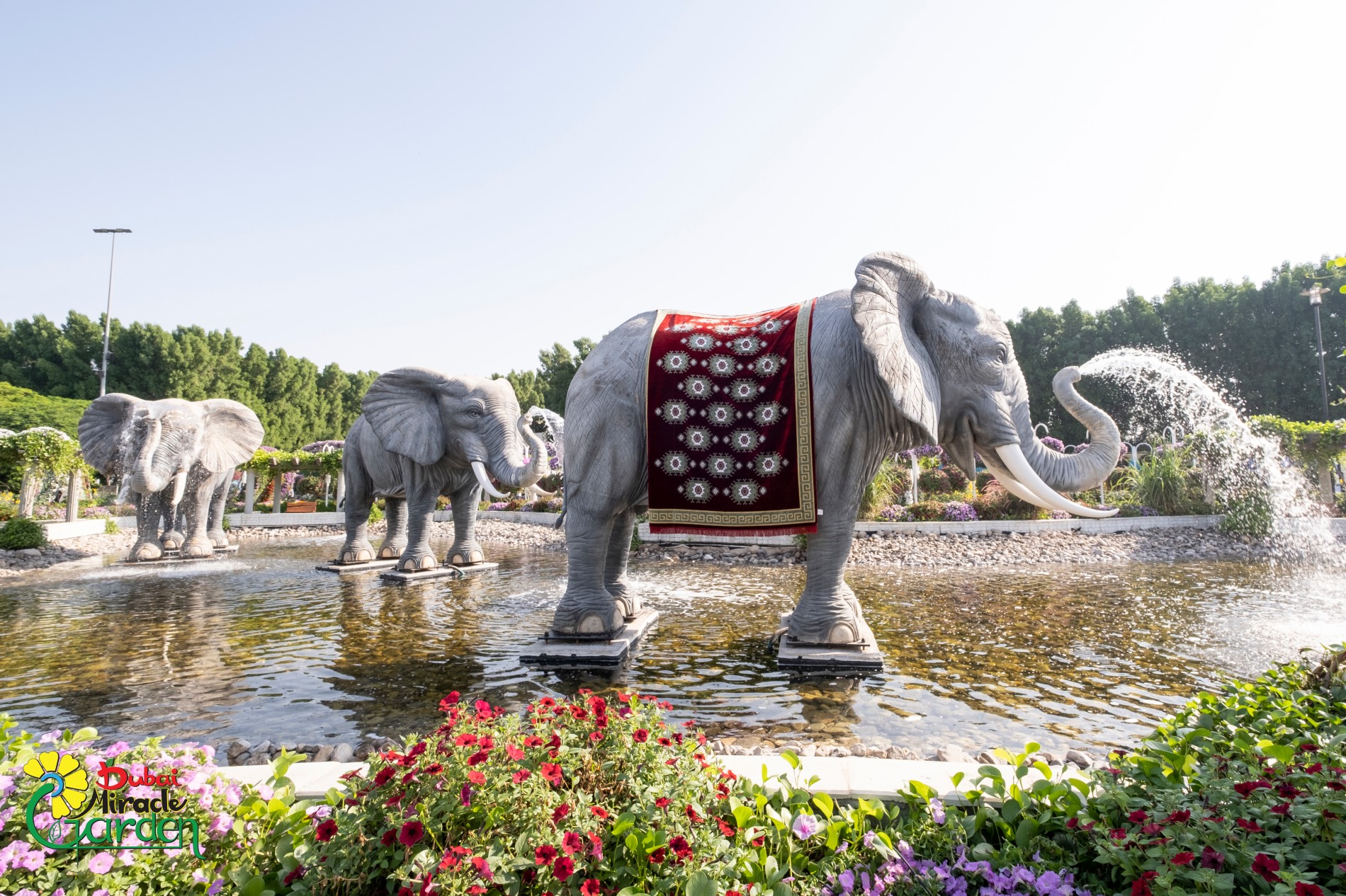 Dubai Miracle Garden: Elephant Garden