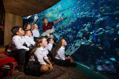 Fish Tales Tour: Kids