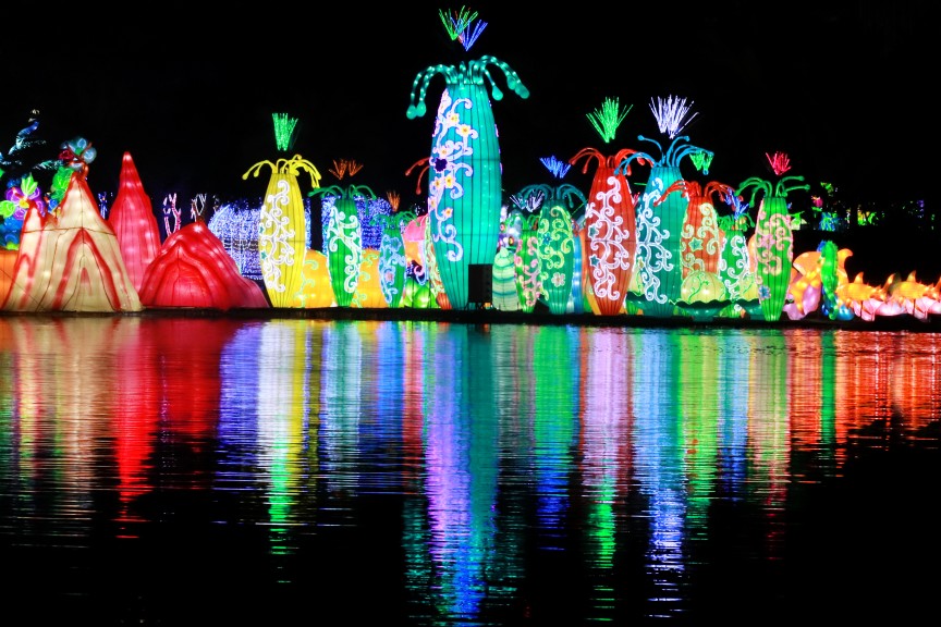 Dubai Garden Glow: Light Shows