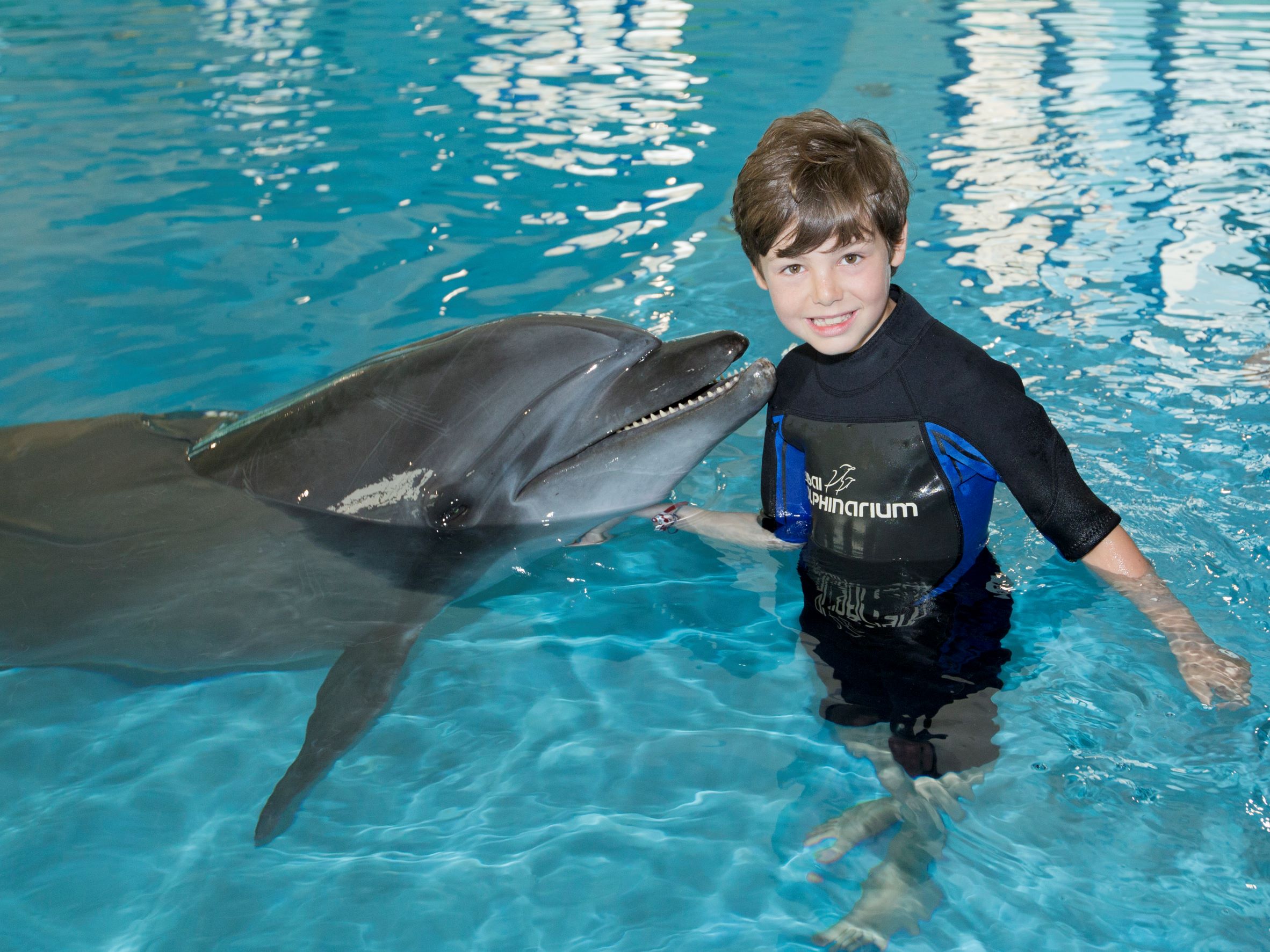 Dolphin Interaction: Dolphin and kid interaction