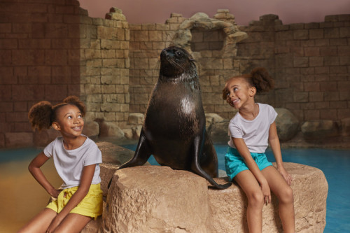 Sea Lion Meet & Greet: Kids Meet & Greet Sea Lion