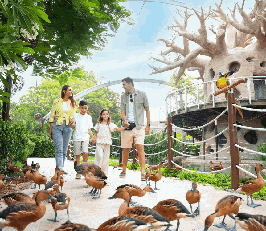 Dubai Safari Park - Day Pass