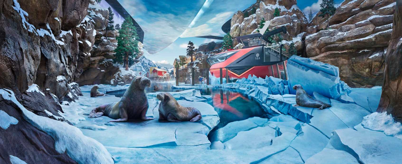 SeaWorld Abu Dhabi: Artic