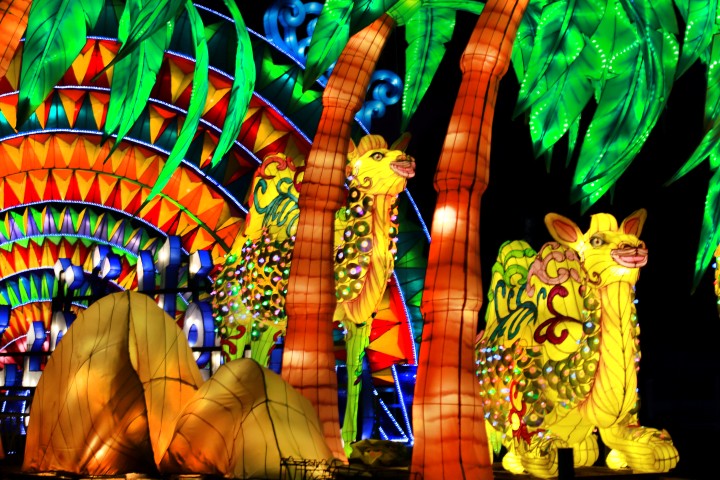 Dubai Garden Glow: Forest Show