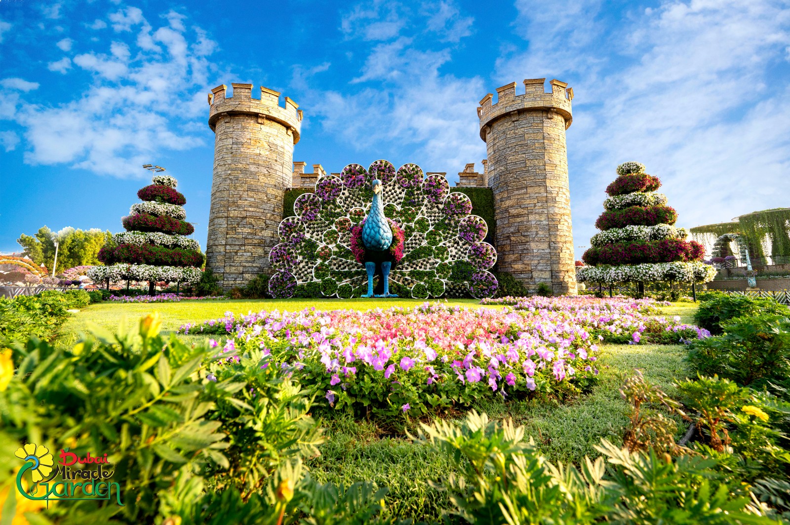 Dubai Miracle Garden: Castle