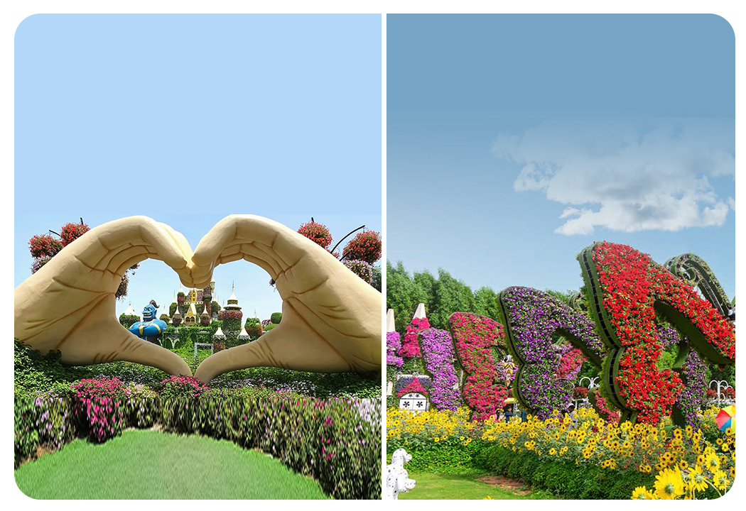Miracle Garden + Dubai Butterfly Garden