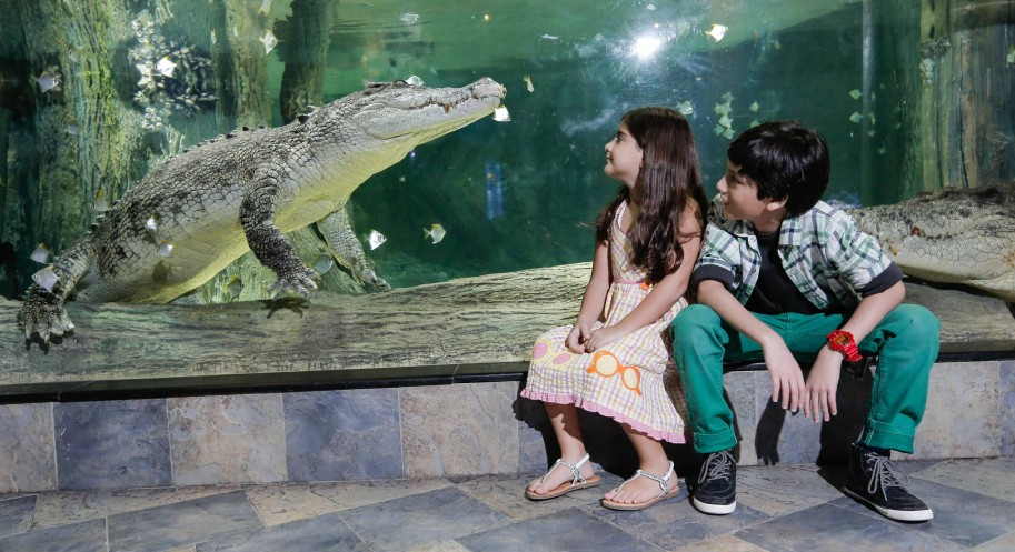 Dubai Mall Aquarium: Kids with Crocodiles