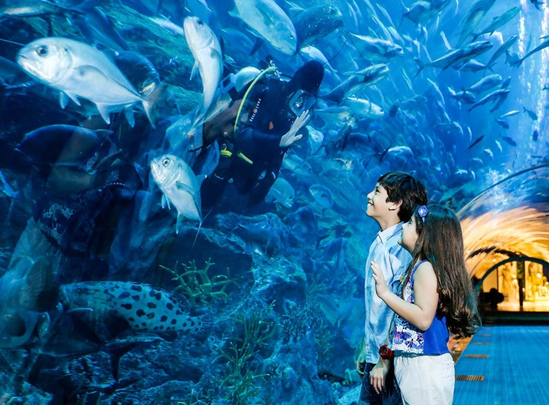 Witness Dubai from above and below in this triple combo featuring Burj Khalifa 124, Dubai Aquarium, and Sky Views with Glass Slide!