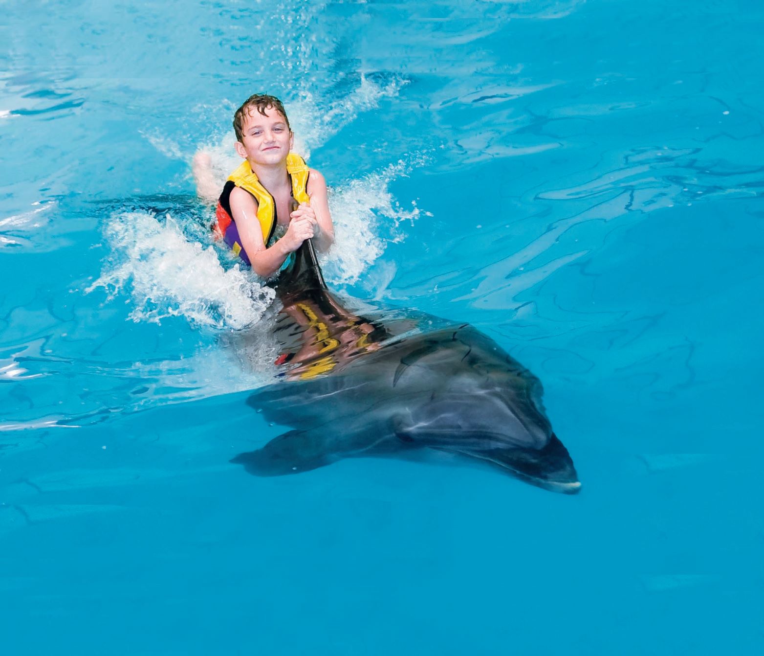 Dolphin Interaction - Private Session: Dolphin swim with boy