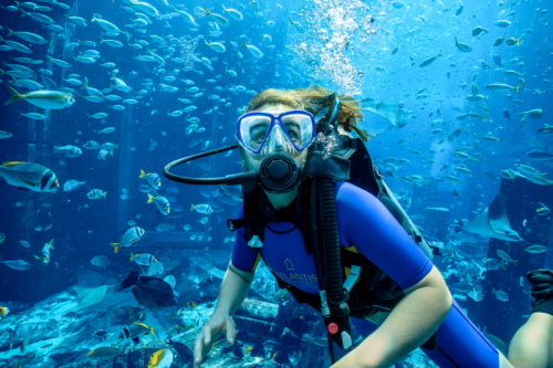 Dive Experience: Dive Photo