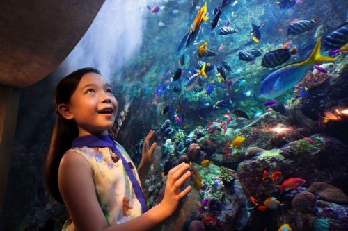 Fish Tales Tour: Kids Aquarium