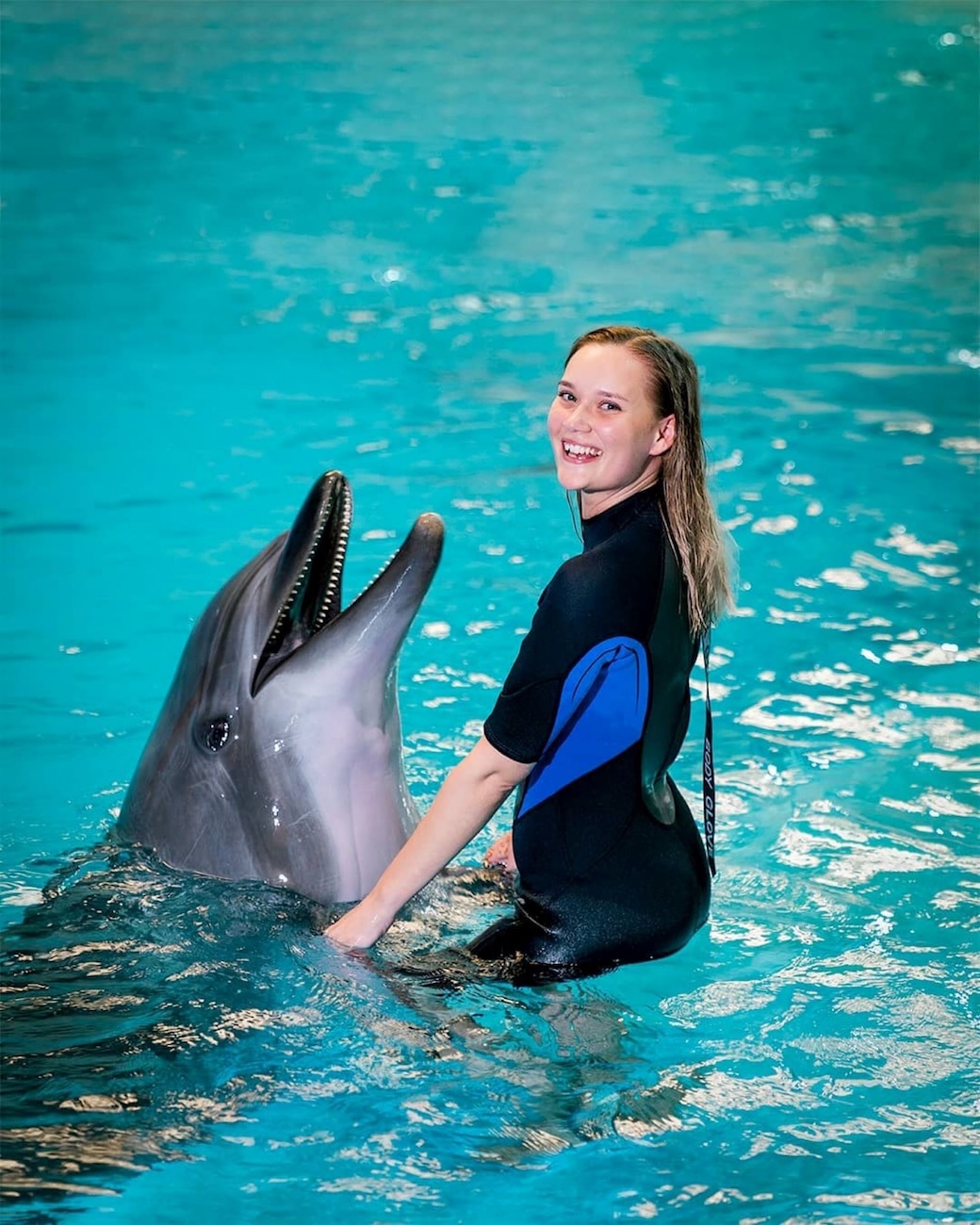 Dubai Dolphinarium - Dolphin Interaction - Private Session - clicktoguide