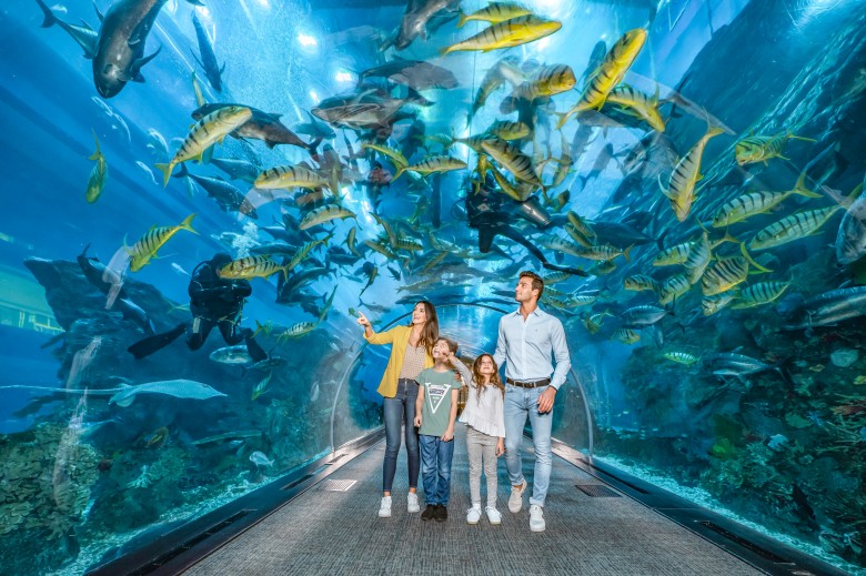 Witness Dubai from above and below in this triple combo featuring Burj Khalifa 124, Dubai Aquarium, and Sky Views with Glass Slide!
