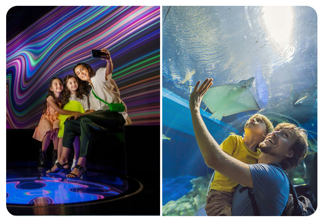 AYA Universe + Dubai Aquarium Underwater Zoo (Silver Pass)