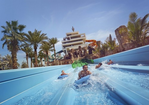 Shark Snorkel: Fun Rides
