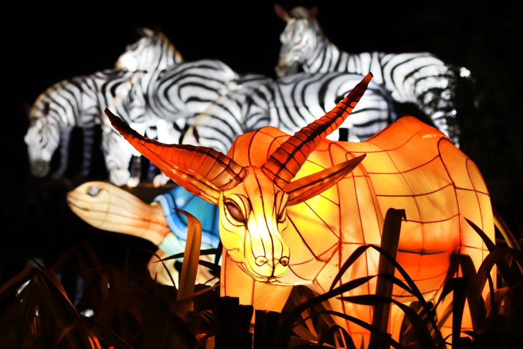 Dubai Garden Glow: Forest Animals