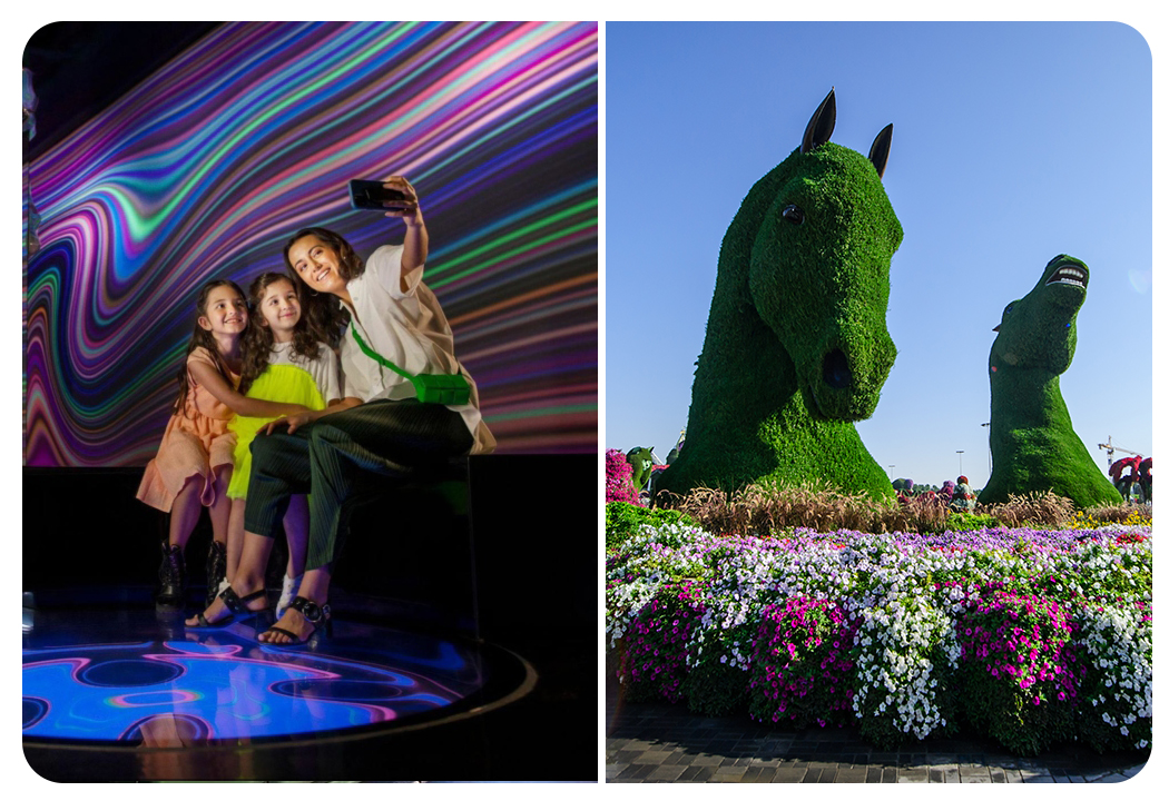 AYA Universe + Miracle Garden 