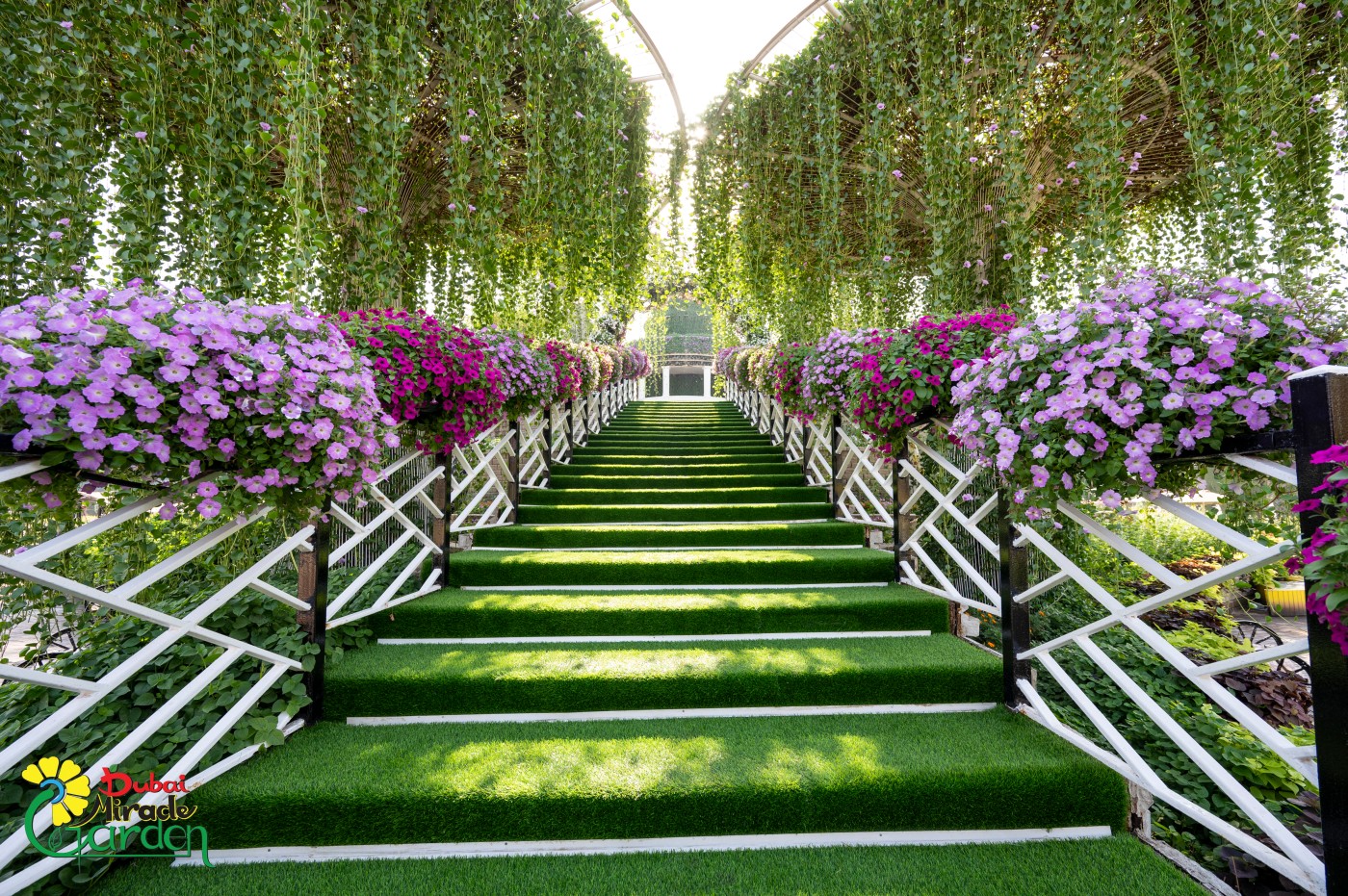 Dubai Miracle Garden: Stairway