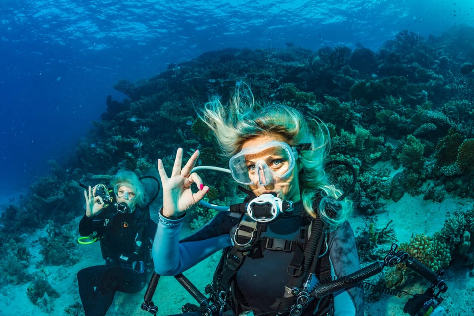 Scuba Diving Experience in Bodrum