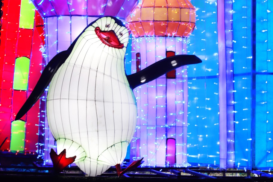 Dubai Garden Glow: Penguin Show