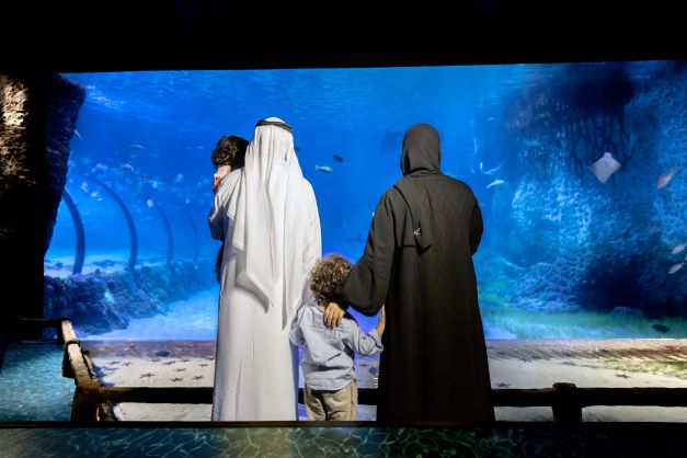 The National Aquarium Abu Dhabi: VIP ATunnel