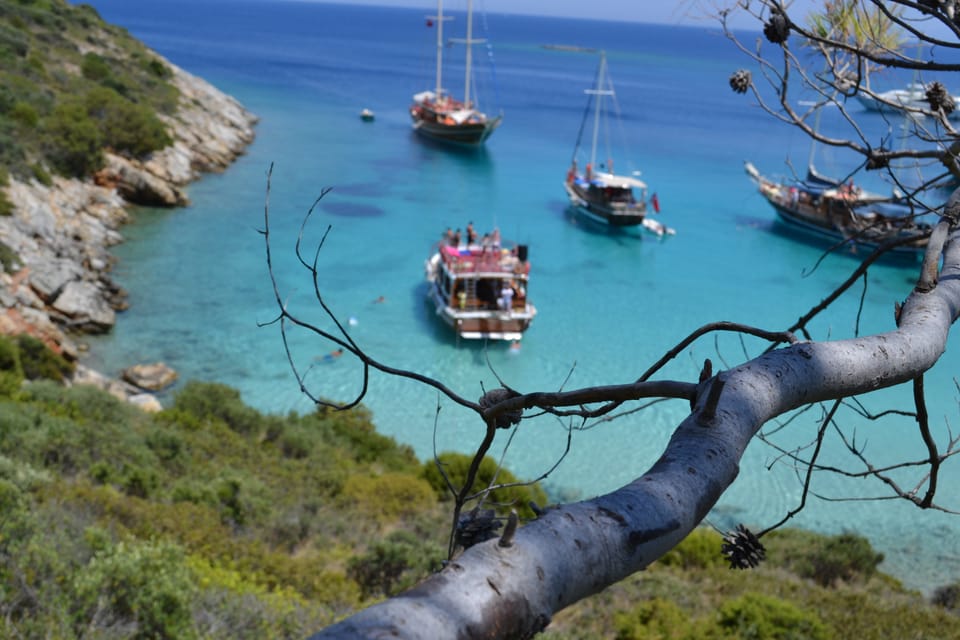 Full-Day Orak Island Boat Trip